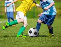 最佳阵容,梦幻,开云体育app在线,开云体育,开云体育官网,开云体育app,开云体育平台,KAIYUN,SPORTS,kaiyun登录入口