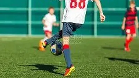 开云体育app在线 资讯 092736 9o1