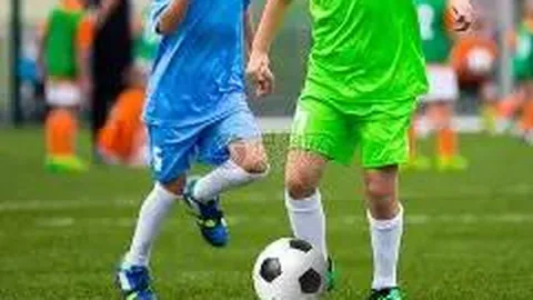 开云体育app在线 资讯 085546 kw2