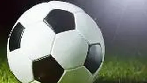 开云体育app在线 资讯 085623 0dt