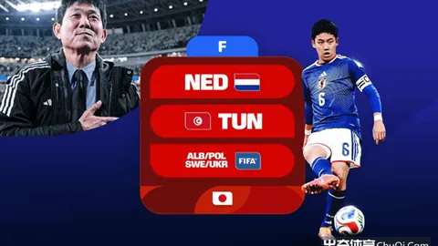 大乐透期号分析：专家推荐质合前区十码，战术调整挑战两队